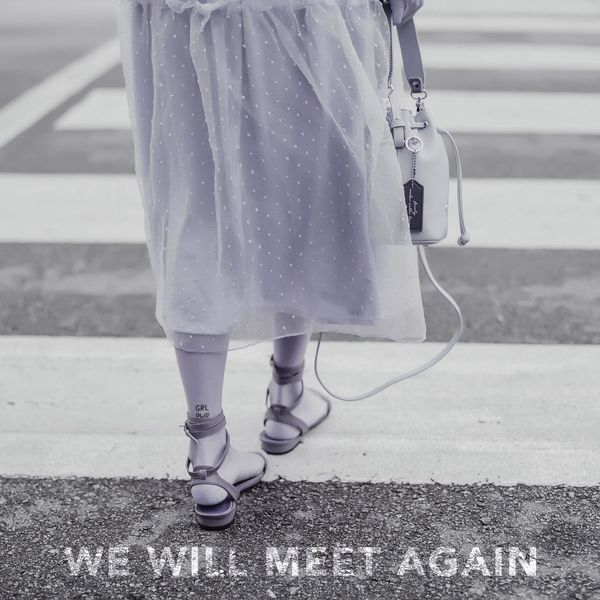 Artwork for We Will Meet Again by Egill Antonsson